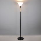 Торшер "Князь" 1х15Вт Е27 МОДЕЛЬ: BR 01033 черный/белый 9095836