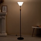 Торшер "Князь" 1х15Вт Е27 МОДЕЛЬ: BR 01033 черный/белый 9095836