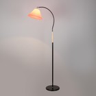 Торшер "Капитан" 1х15Вт Е27 МОДЕЛЬ: BR 01048 черный/красный 9095851