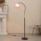 Торшер "Капитан" 1х15Вт Е27 МОДЕЛЬ: BR 01048 черный/красный 9095851