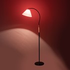 Торшер "Капитан" 1х15Вт Е27 МОДЕЛЬ: BR 01048 черный/красный 9095851