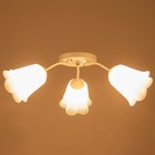 Люстра «Онлайн» 3×15 Вт Е27 МОДЕЛЬ: BR=00204 белый/прозрачный - Фото 3