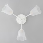 Люстра «Онлайн» 3×15 Вт Е27 МОДЕЛЬ: BR=00204 белый/прозрачный - Фото 4