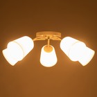 Люстра BayerLux BR 00206 «Онлайн», 5×15 Вт, цоколь Е27, белая - Фото 3