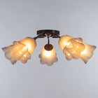 Люстра "Онлайн" (цветок) 5х15Вт Е27 МОДЕЛЬ: BR 00226 венге/черный - фото 42632819