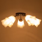 Люстра "Онлайн" (цветок) 5х15Вт Е27 МОДЕЛЬ: BR 00226 венге/черный - фото 42632820