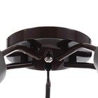 Люстра "Онлайн" (цветок) 5х15Вт Е27 МОДЕЛЬ: BR 00226 венге/черный - фото 42632822