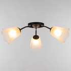 Люстра "Онлайн" (цветок) 3х15Вт Е27 МОДЕЛЬ: BR 00235 черный/прозрачный - фото 21948773