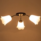 Люстра "Онлайн" (цветок) 3х15Вт Е27 МОДЕЛЬ: BR 00235 черный/прозрачный - фото 21948774