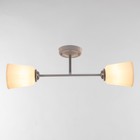 Люстра на потолок BayerLux «Луч», 2×15 Вт, Е27, белый - фото 3808031