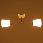 Люстра на потолок BayerLux «Луч», 2×15 Вт, Е27, белый - фото 3808032