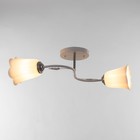 Люстра на потолок BayerLux «Лилия», 2×15 Вт, Е27 белый - фото 3808038