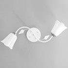 Люстра на потолок BayerLux «Лилия», 2×15 Вт, Е27 белый - фото 3808045