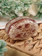 Мыло косметическое Добропаровъ с люффой «массажное» кофе, 100 г - Фото 11