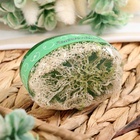 Мыло косметическое Добропаровъ с люффой «массажное» зеленое яблоко, 100 г - Фото 6