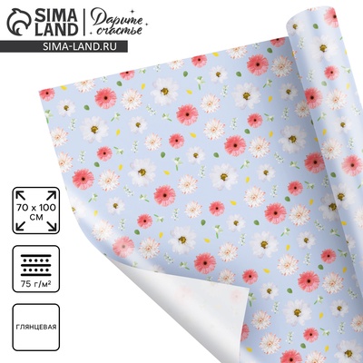 Бумага упаковочная глянцевая «Ромашки», 70 х 100 см