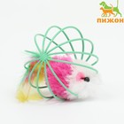 Игрушка "Мышь в шаре с перьями", 6 см, зелёный шар - Фото 1