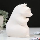 Копилка «Енот», гипс - фото 119350025