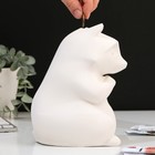 Копилка «Енот», гипс - фото 119350026