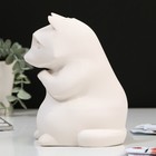 Копилка «Енот», гипс - фото 119350027