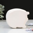 Копилка «Енот», гипс - фото 119350028