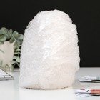 Копилка «Енот», гипс - фото 119350029