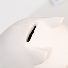 Копилка «Енот», гипс - фото 119350030