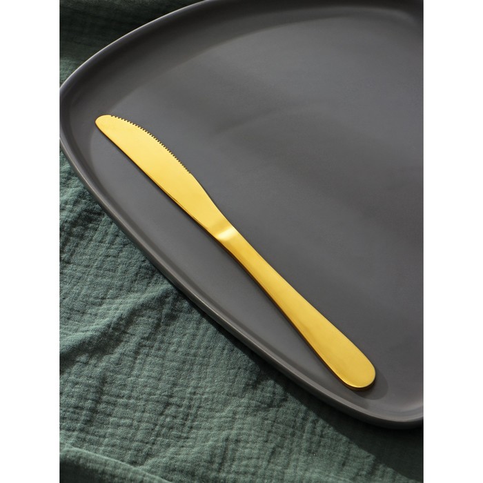 Ножи столовые из нержавеющей стали Доляна «Голд», длина 22 см, 6 шт, цвет золотой - фото 1909063088