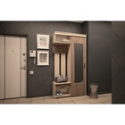 Прихожая «Мечта», 1140 × 383 × 2160 мм, правая, ясень шимо тёмный / ясень шимо светлый 9449869