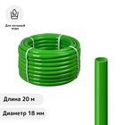 Шланг, ПВХ, d = 18 мм, L = 20 м, пищевой, зелёный - фото 10165520