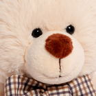 Мягкая игрушка «Мишка Эрни с бантом», цвет белый, 20 см - фото 24543613