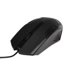 Мышь ExeGate Professional Standard SH-9025, проводная, оптическая, 1000 dpi, USB, чёрная - фото 51307484 Мышь ExeGate Professional Standard SH-9025, проводная, оптическая, 1000 dpi, USB, чёрная - фото 51307484