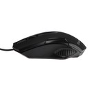 Мышь ExeGate Professional Standard SH-9025, проводная, оптическая, 1000 dpi, USB, чёрная - фото 51307486 Мышь ExeGate Professional Standard SH-9025, проводная, оптическая, 1000 dpi, USB, чёрная - фото 51307486