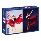 Пазл Premium «Про танцы», 2 картинки в 1 коробке, 1000+1000 элементов - фото 319201785
