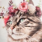 Набор подарочный Этель Flower cat: полотенце 40х73 см, лопатка - Фото 4