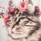 Набор подарочный «Этель» Flower cat: полотенце 40×73 см, лопатка - Фото 4