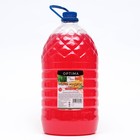 Мыло жидкое Mr.White OPTIMA «Манго-Мята», 5 л - Фото 1