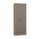 Шкаф для одежды «Денвер», 782 × 374 × 2088 мм, 2 двери, 1 ящик, дуб крафт золотой / графит - Фото 1