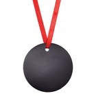 Медаль-магнит на ленте «Выпускник начальной школы - 2023», d = 7 см - Фото 2