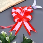 Подарочный бант - шар №5, красно - розовый, для упаковки подарков - Фото 2