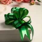 Бант-шар №5 - Фото 3