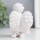 Сувенир полистоун "Белоснежный ангел с книгой" МИКС 9,5х7,5х6,5 см - Фото 4