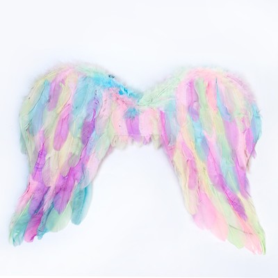 Крылья ангела 55×42 см