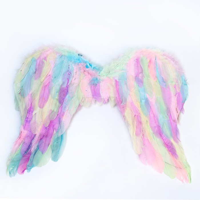 Крылья ангела 55×42 см - Фото 1