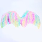 Крылья ангела 52×23 см - фото 19315422
