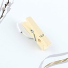 Пасхальный декор, прищепки для украшения вербы «Цыплята» на пасху, 10×12 см - Фото 5