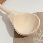 Ложка деревянная полубаская, без росписи, заготовка для творчества, хемпельная, 19×6 см - Фото 3