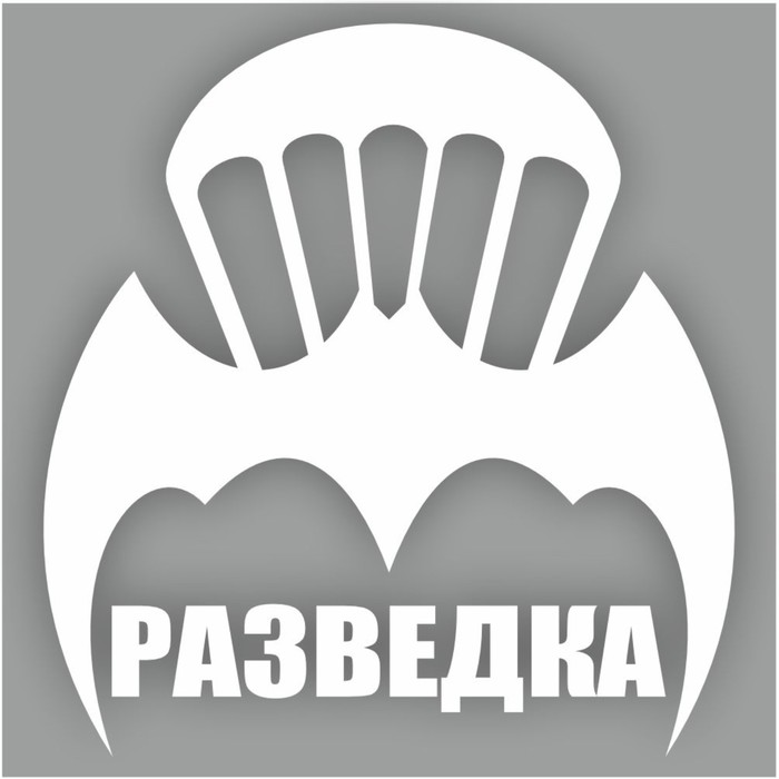 Наклейка "Эмблема Разведка", плоттер, 100 х 100 мм, белая - Фото 1