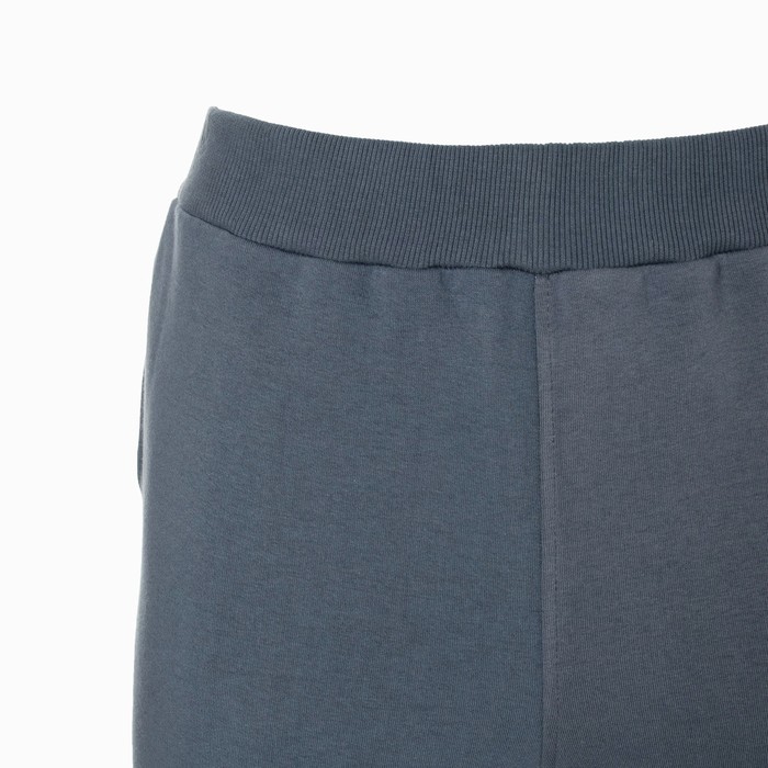 Брюки мужские НАЧЁС, цвет серый, размер 50 59344