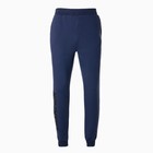 Брюки мужские НАЧЁС, цвет тёмно-синий, размер 52 9423260